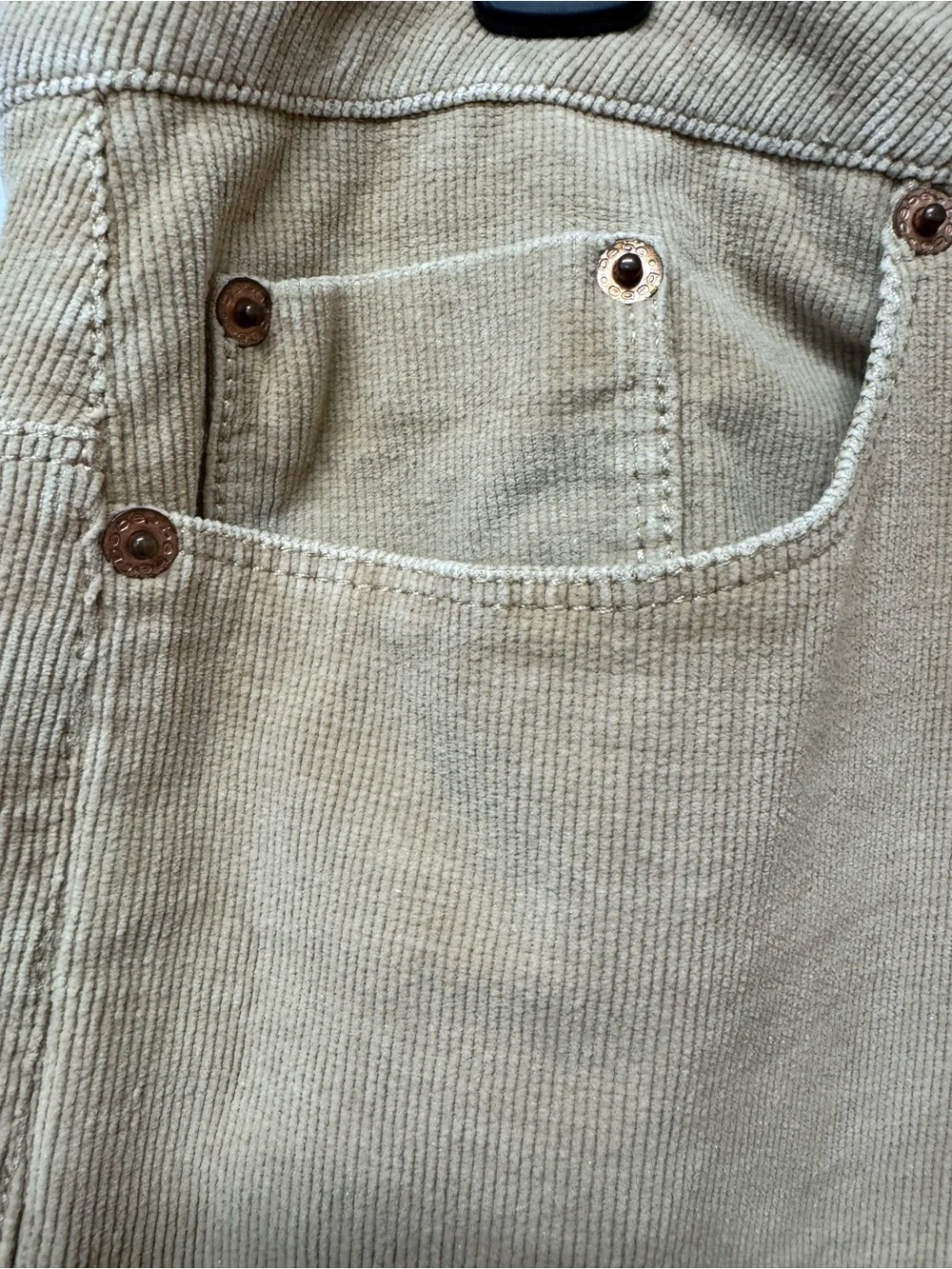 bebe stylish corduroy